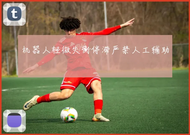 机器人轻微失衡停滞严禁人工辅助