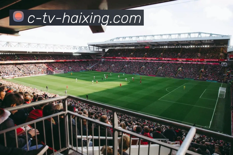 海星体育官网平台生态图