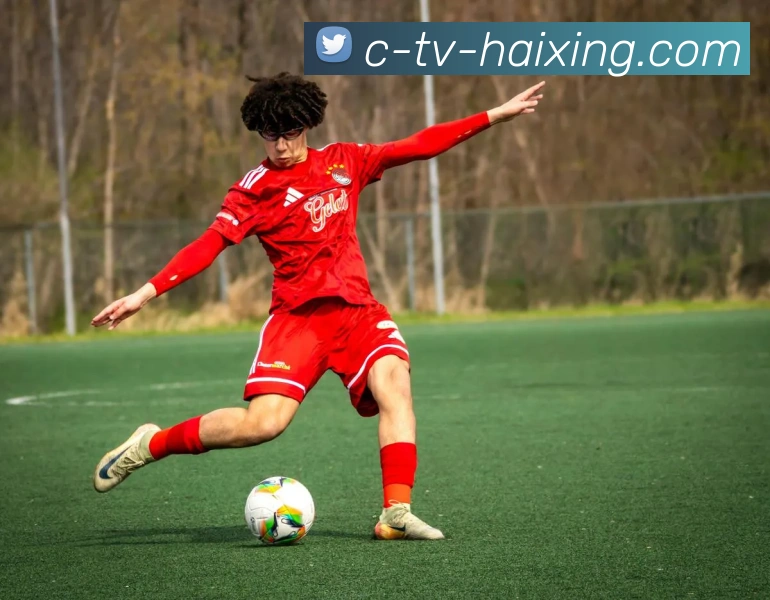 海星体育官网全站App